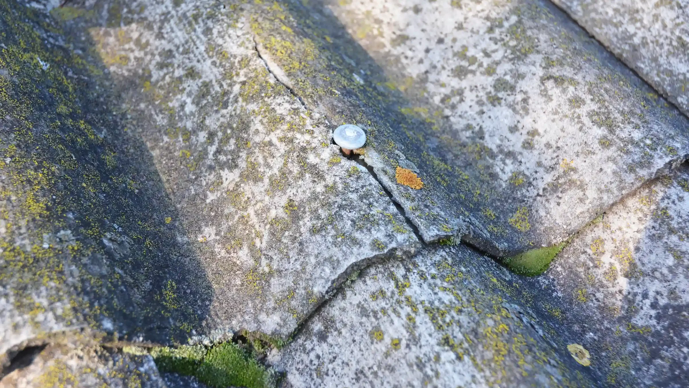 Plaque d'amiante, déchet dangereux